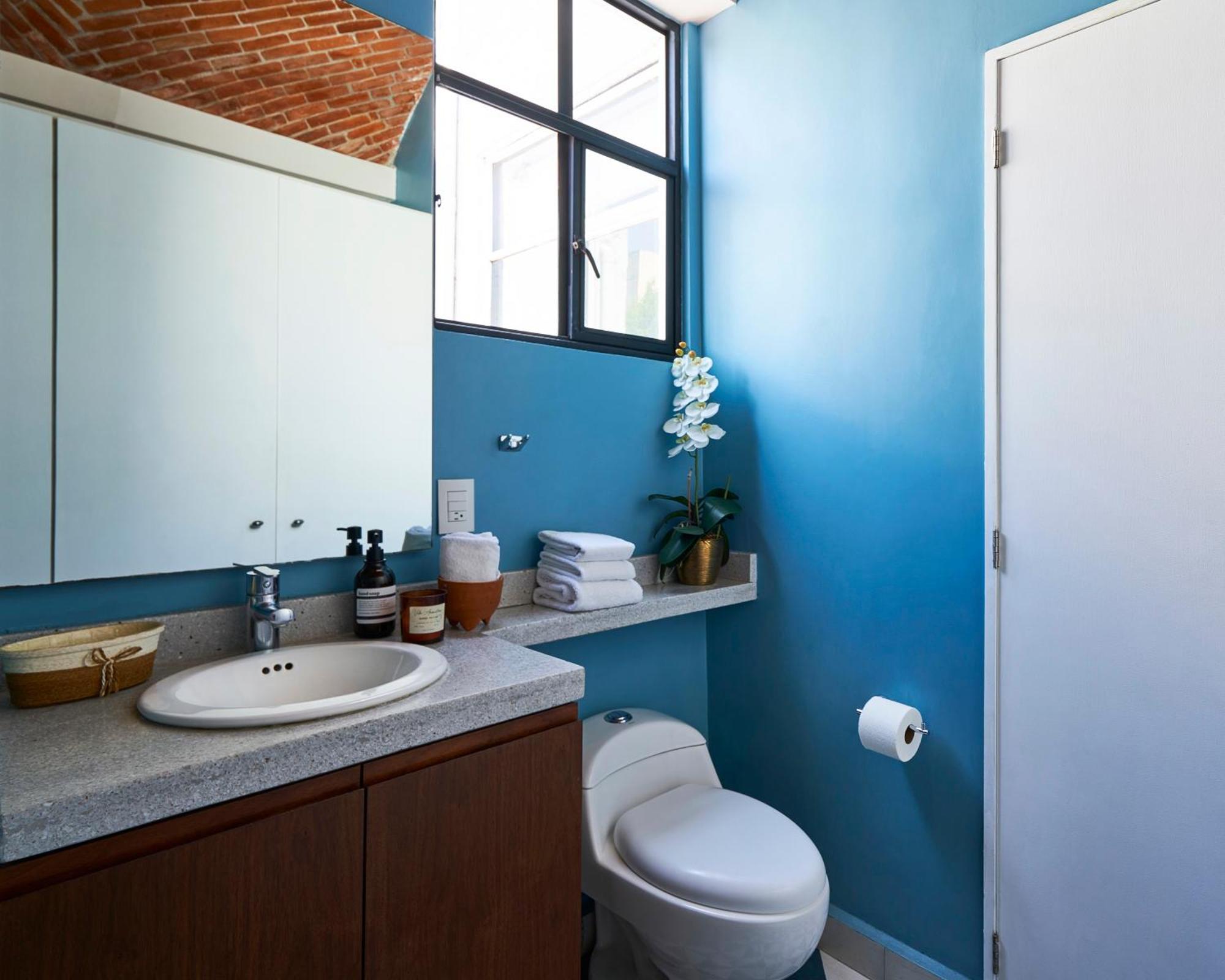 Apartment Amazinn Places Penthouse En El Corazon De La Condesa Mexico City